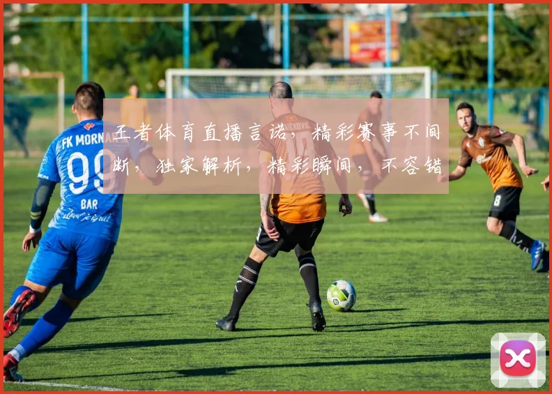 王者体育直播言诺，精彩赛事不间断，独家解析，精彩瞬间，不容错过，三重福利等你来