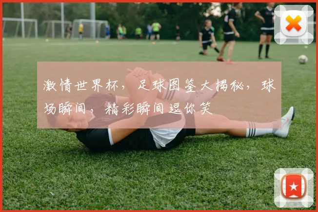 激情世界杯，足球图鉴大揭秘，球场瞬间，精彩瞬间逗你笑