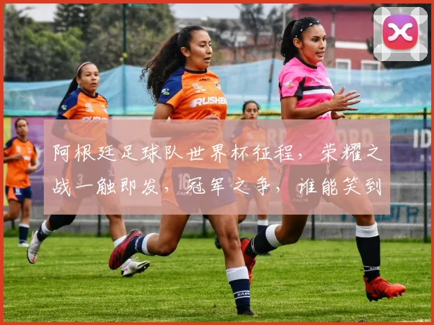 阿根廷足球队世界杯征程，荣耀之战一触即发，冠军之争，谁能笑到最后