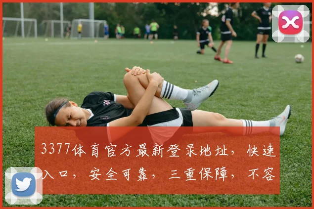 3377体育官方最新登录地址，快速入口，安全可靠，三重保障，不容错过